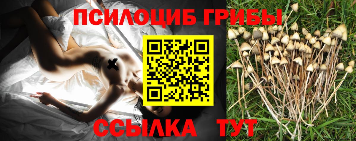 Галлюциногенные грибы Psilocybe Лангепас